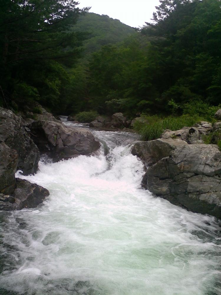 사진 110710_012.jpg