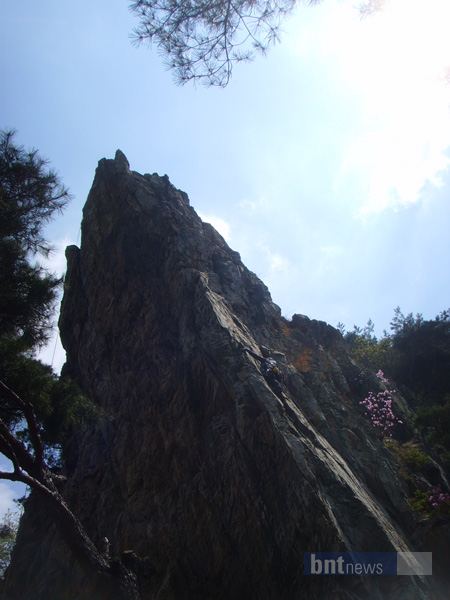 111.jpg